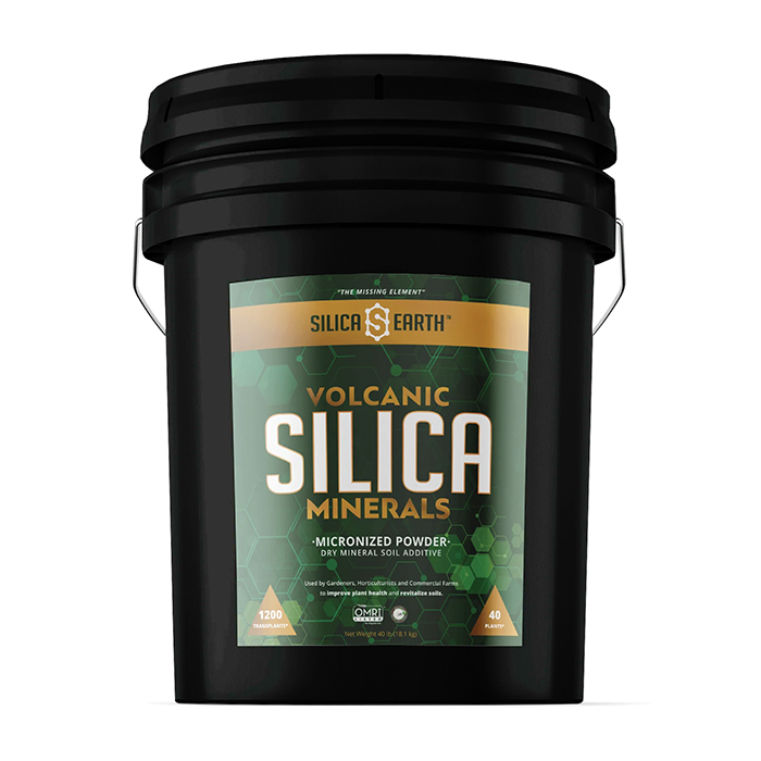 Silica Earth Volcanic Silica Minerals Micronized Powder