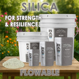 RAW Silica – 45% Silicon Dioxide Biogenic Silica Supplement