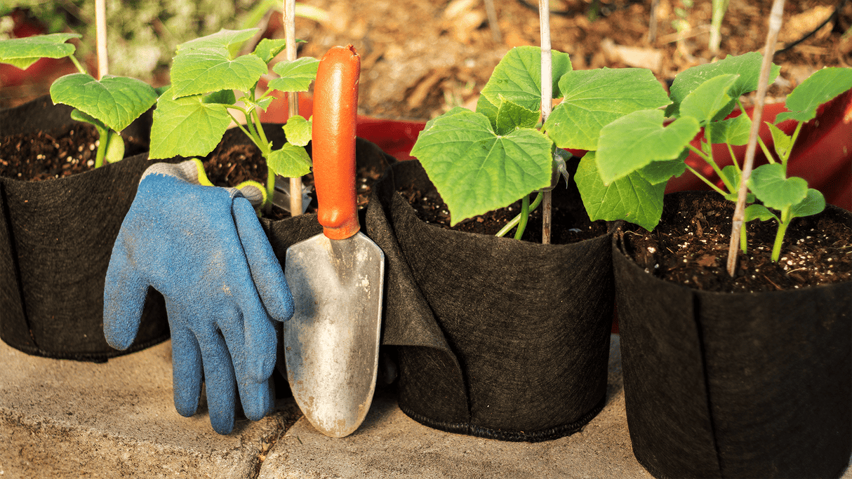 Smart Pot Fabric Transplanter – Reusable Root-Pruning Fabric Planting Container