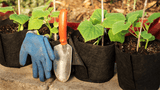 Smart Pot Fabric Transplanter – Reusable Root-Pruning Fabric Planting Container