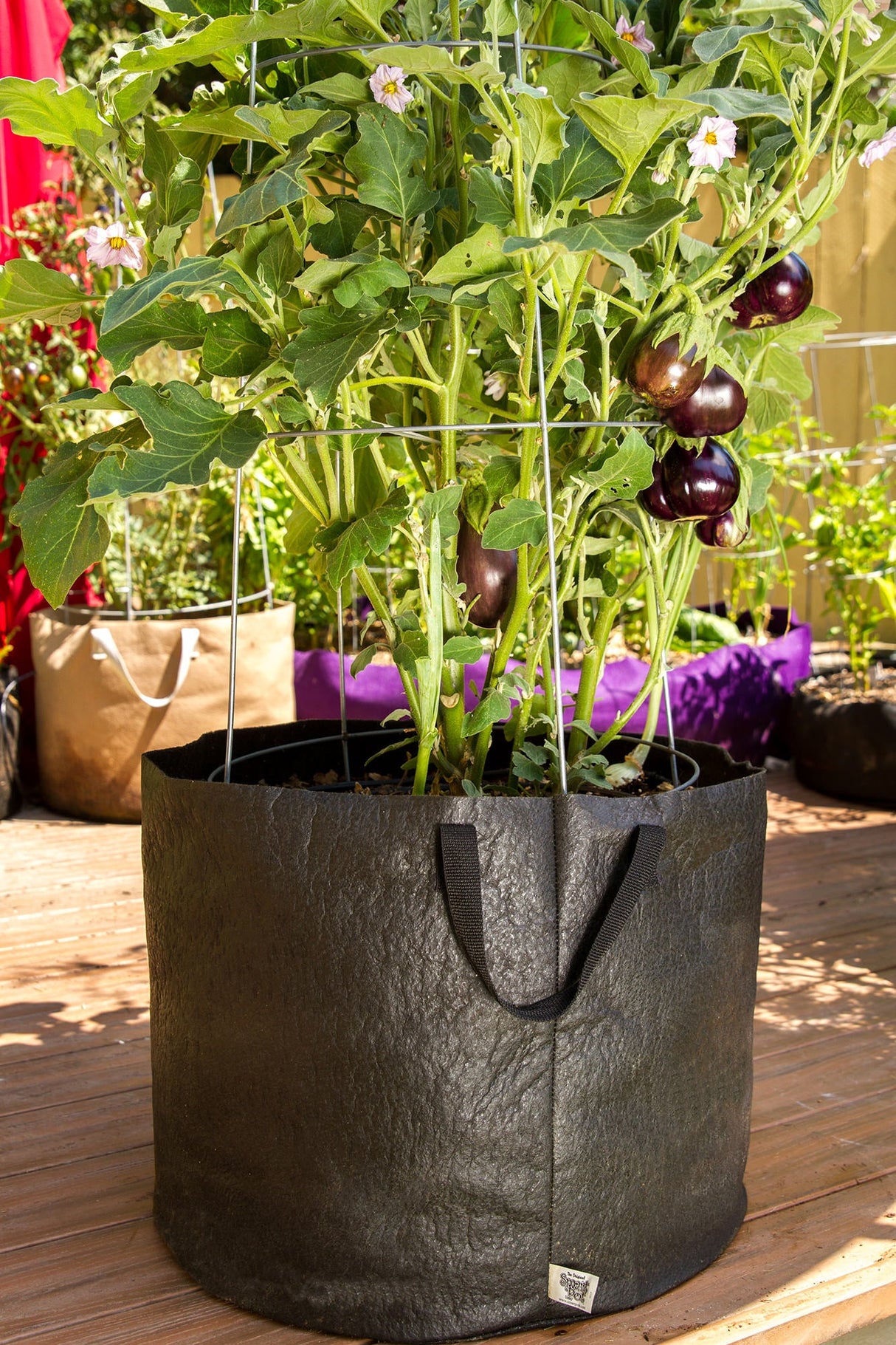 Smart Pot Fabric Planter – Original USA-Made Breathable Grow Container