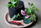 Smart Pot Fabric Planter – Original USA-Made Breathable Grow Container