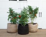 Smart Pot Fabric Planter – Original USA-Made Breathable Grow Container