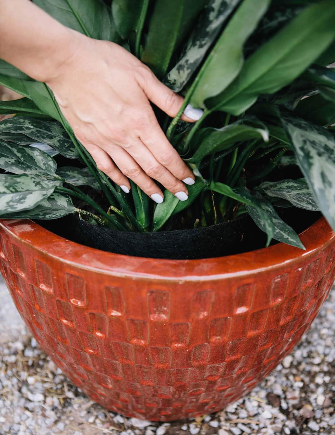 Smart Pot Fabric Planter – Original USA-Made Breathable Grow Container