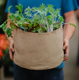 Smart Pot Fabric Planter – Original USA-Made Breathable Grow Container