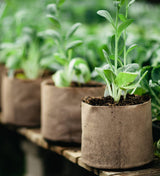 Smart Pot Fabric Planter – Original USA-Made Breathable Grow Container