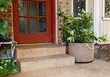Smart Pot Fabric Planter – Original USA-Made Breathable Grow Container