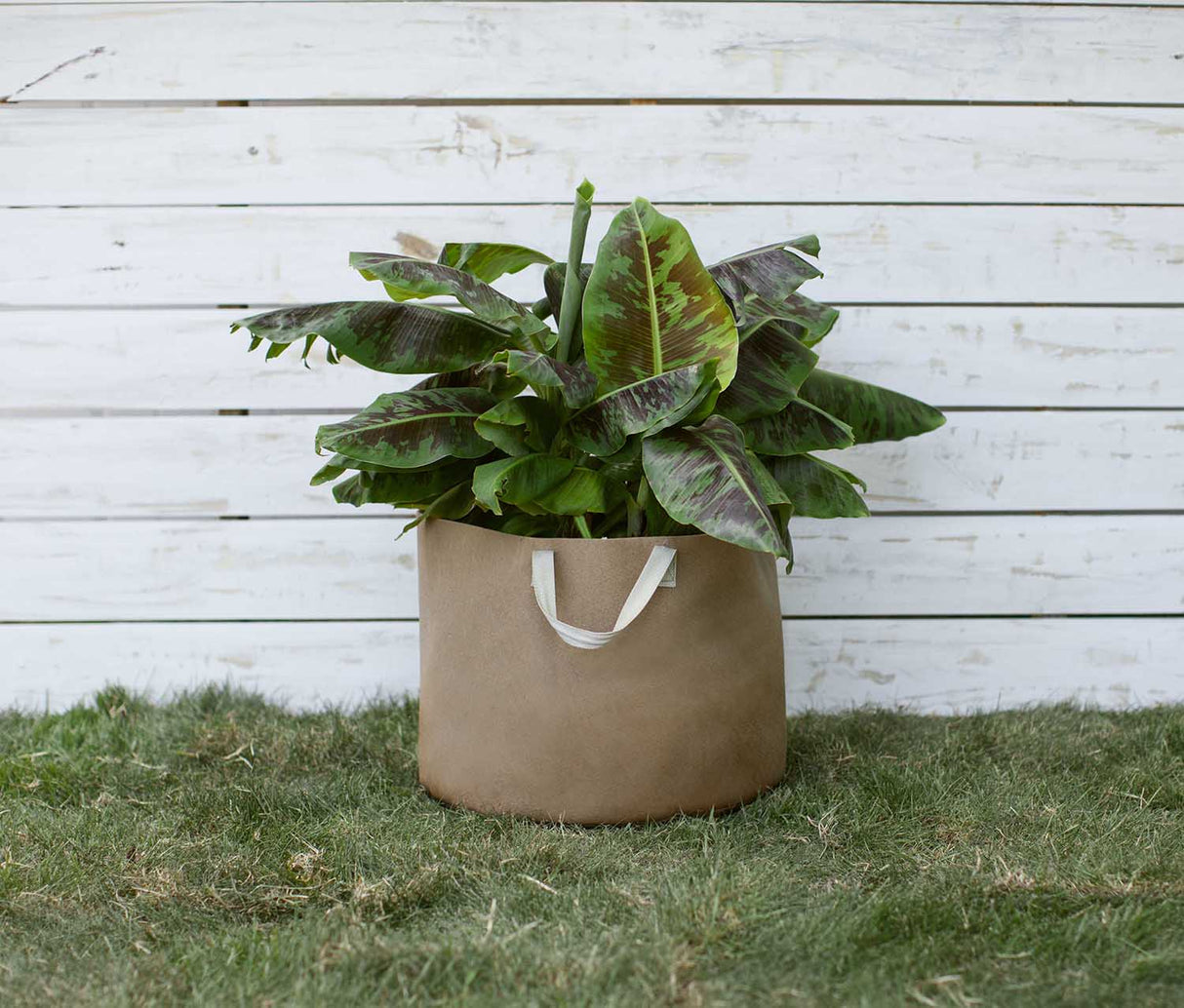 Smart Pot Fabric Planter – Original USA-Made Breathable Grow Container