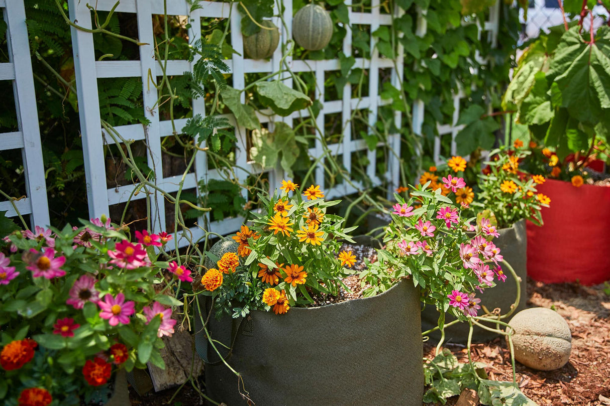 Smart Pot Fabric Planter – Original USA-Made Breathable Grow Container