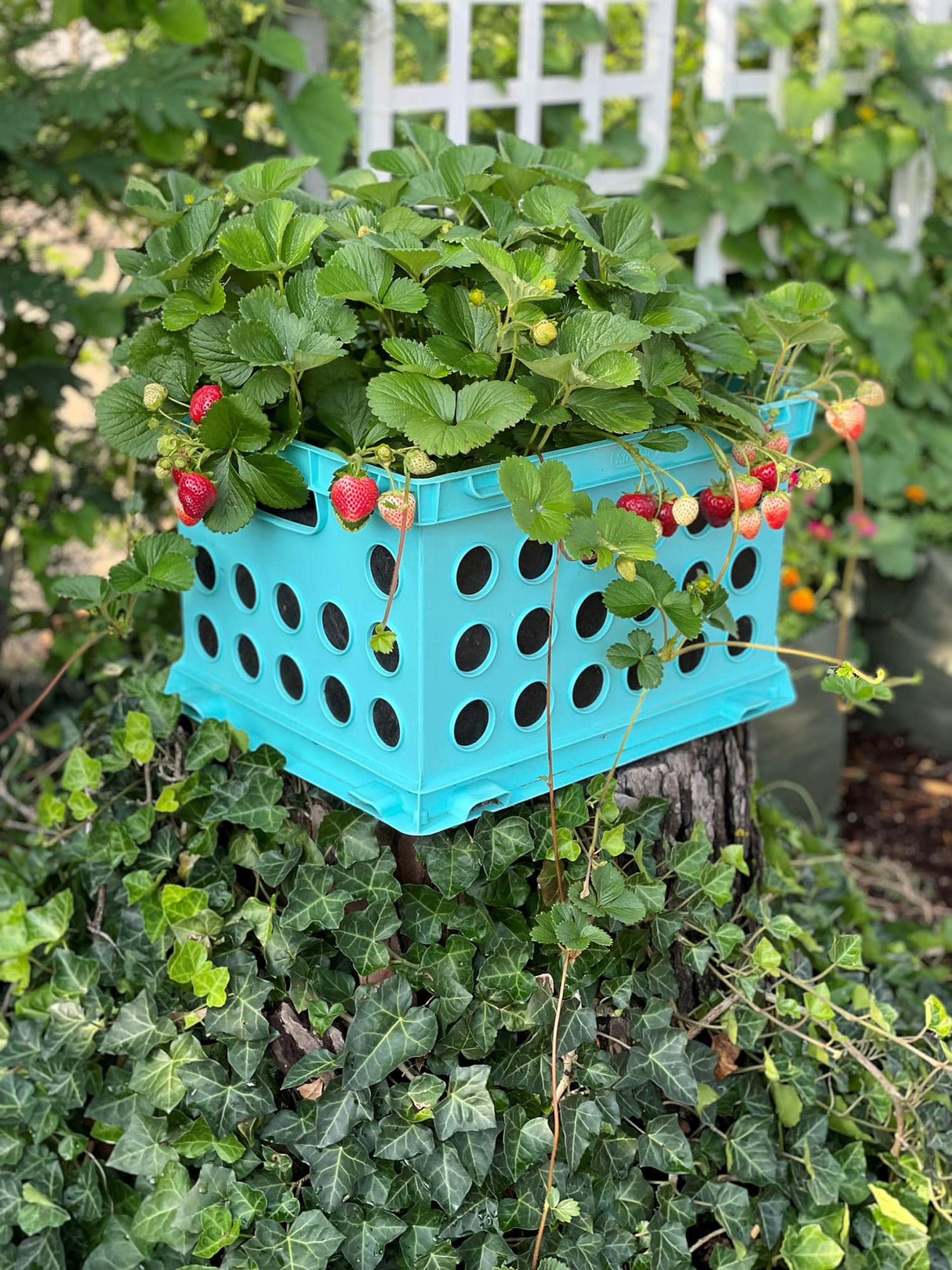Smart Pot Milk Crate Liner – Fabric Planter Insert for Milk Crates