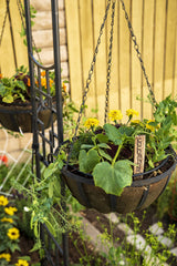 Smart Pot NoCoco Liner – Reusable Fabric Planter & Basket Liner
