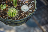 Smart Pot NoCoco Liner – Reusable Fabric Planter & Basket Liner