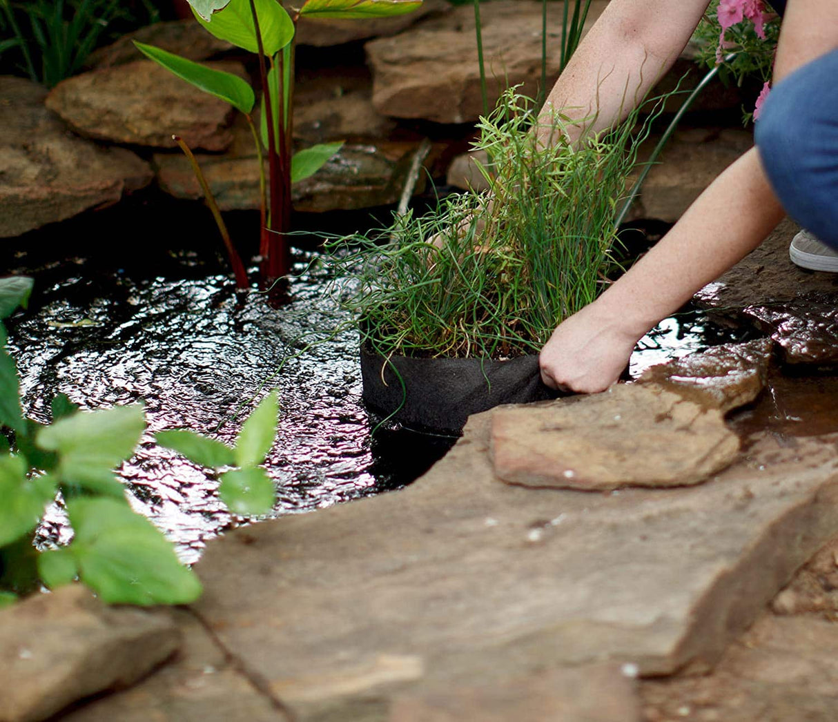 Smart Pot Pond Pot – Breathable Fabric Planter for Aquatic Plants