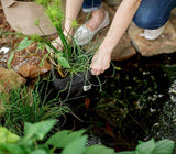 Smart Pot Pond Pot – Breathable Fabric Planter for Aquatic Plants