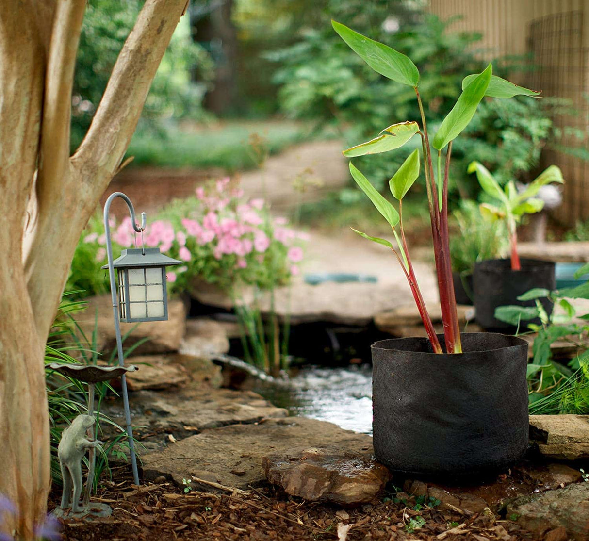 Smart Pot Pond Pot – Breathable Fabric Planter for Aquatic Plants