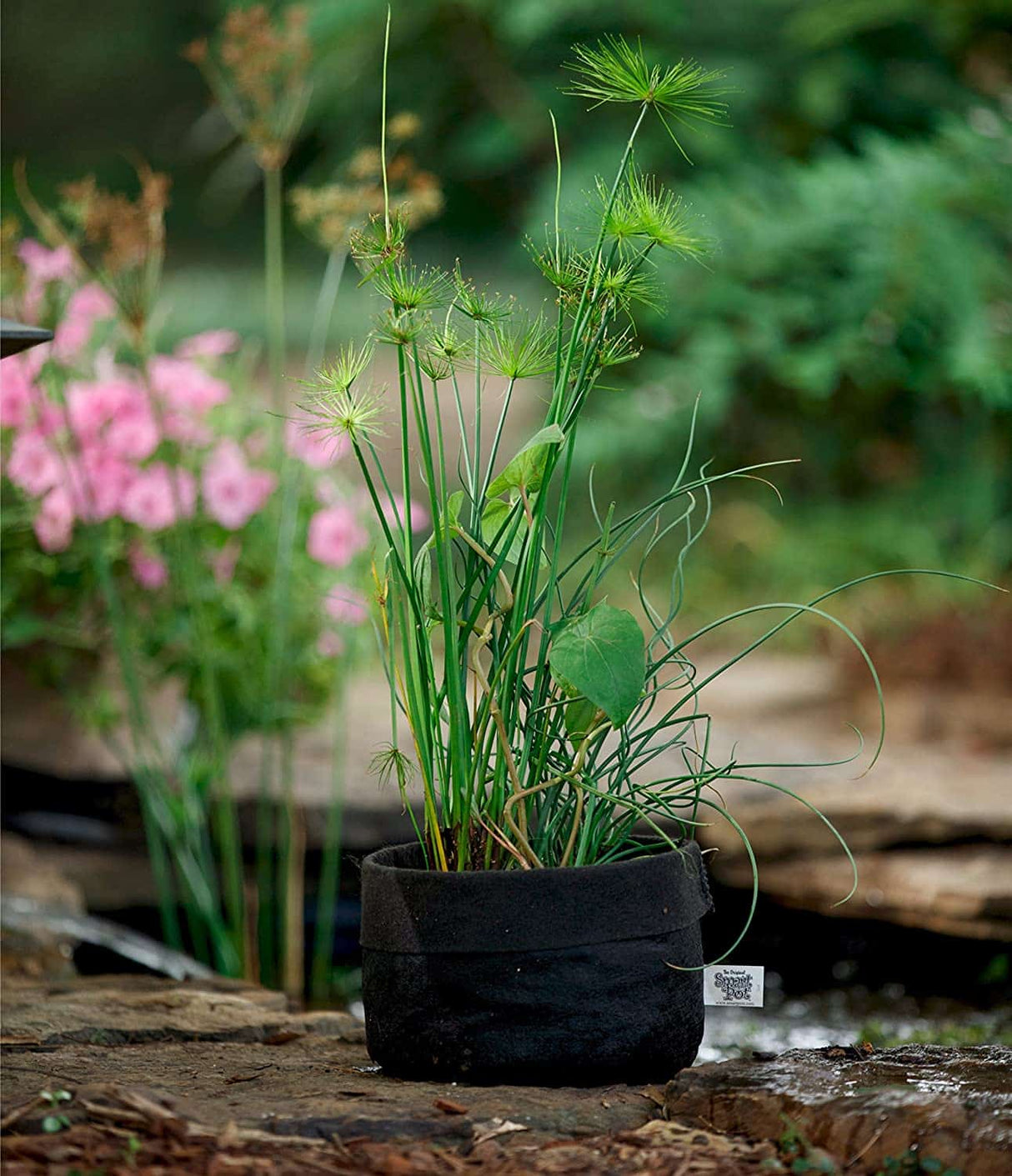 Smart Pot Pond Pot – Breathable Fabric Planter for Aquatic Plants