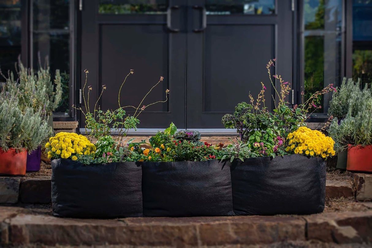 Smart Pot Raised Bed Planter – Fabric Raised Garden Bed with Built-In Planting Sections