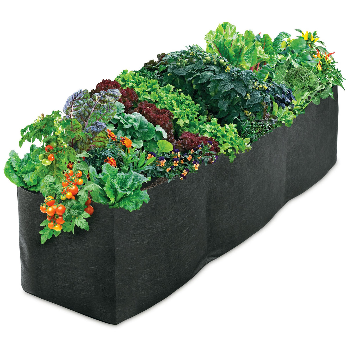 Smart Pot Raised Bed Planter – Fabric Raised Garden Bed with Built-In Planting Sections