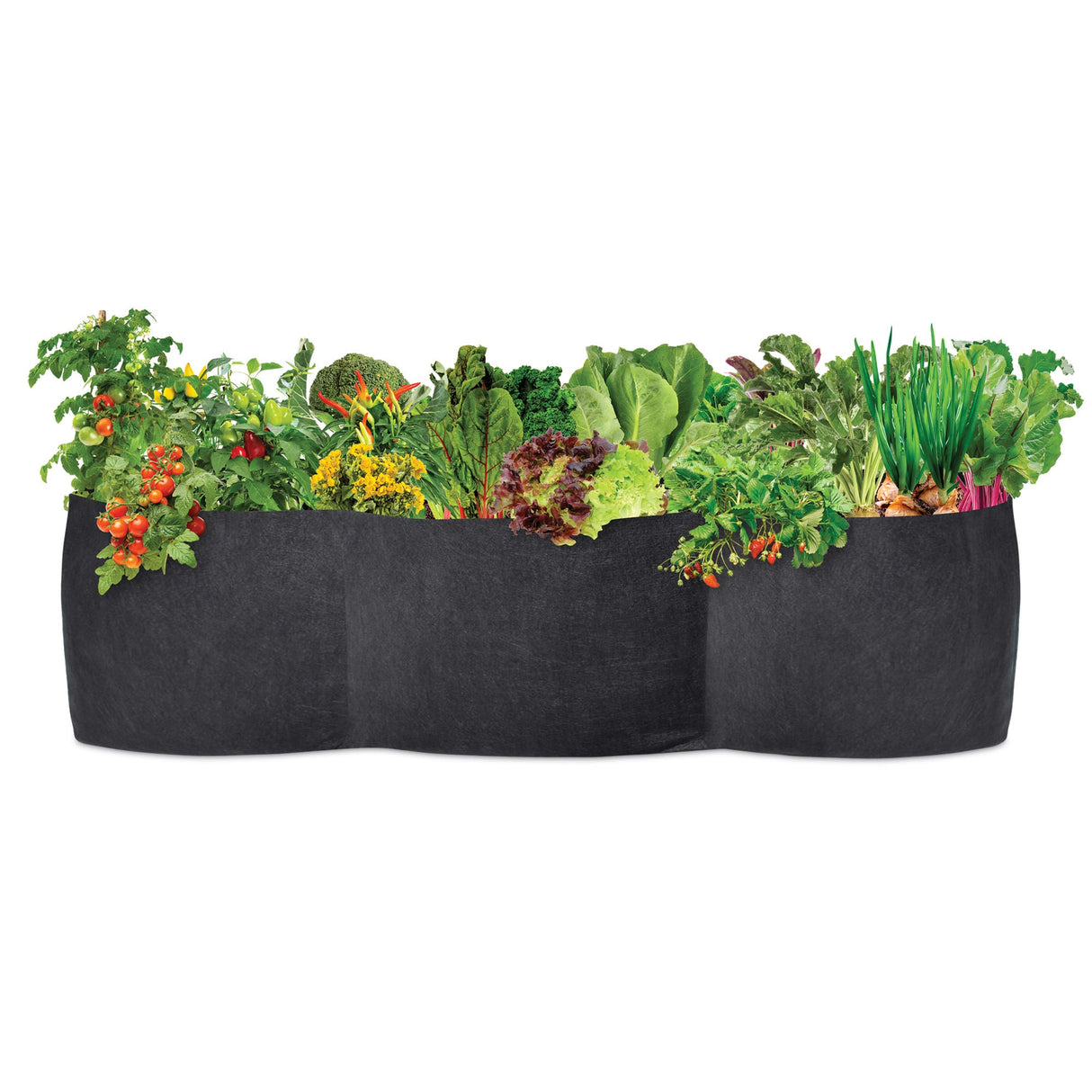 Smart Pot Raised Bed Planter – Fabric Raised Garden Bed with Built-In Planting Sections