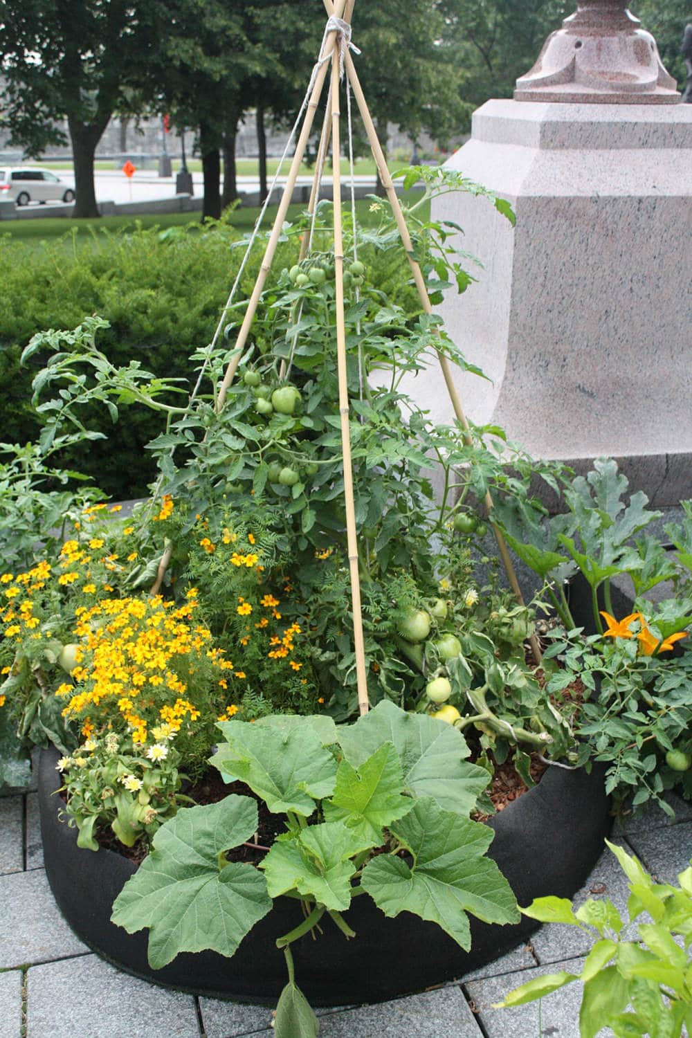 Smart Pot Round Raised Bed – Breathable Fabric Garden Planter
