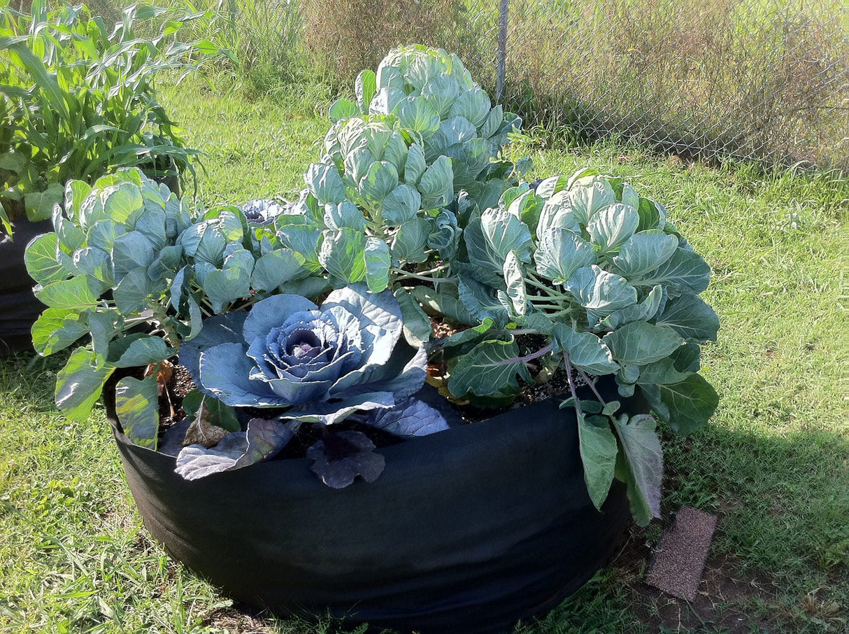 Smart Pot Round Raised Bed – Breathable Fabric Garden Planter
