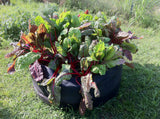 Smart Pot Round Raised Bed – Breathable Fabric Garden Planter