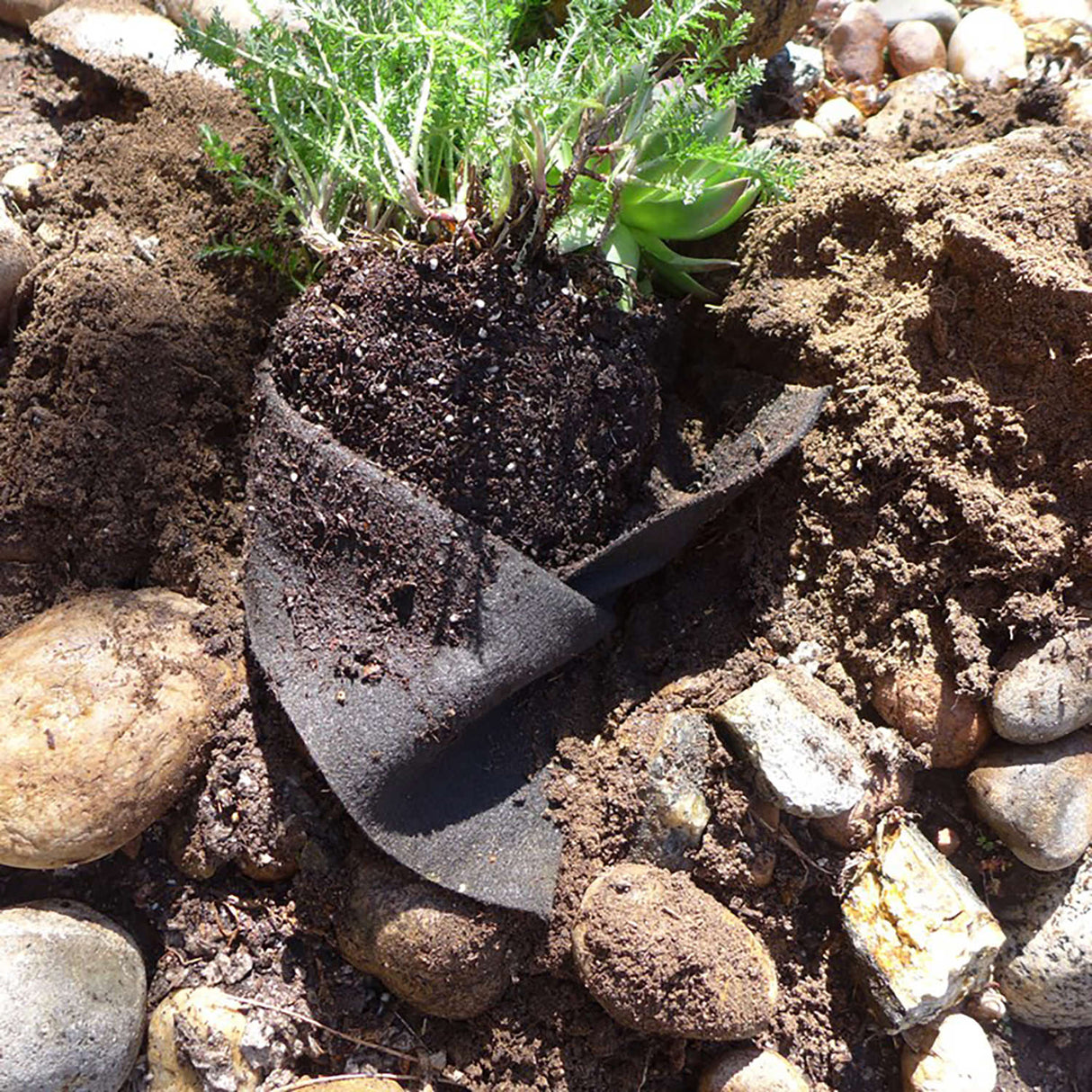 Smart Pot Fabric Transplanter – Reusable Root-Pruning Fabric Planting Container