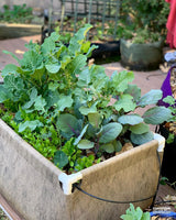 Smart Pot Urban Raised Bed Garden – Fabric Planter