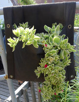 Smart Pot Wall Flower Saddle Planter – Double-Sided Vertical Fabric Planter