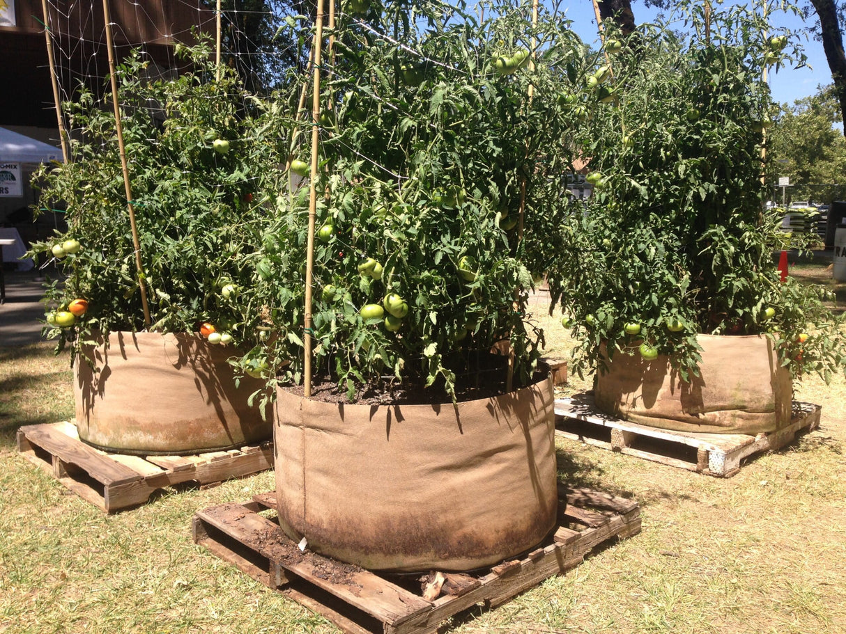 Smart Pot Fabric Planter – Original USA-Made Breathable Grow Container