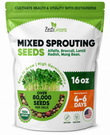 ZestiGreens Organic Sprouting Seed Mix – Broccoli, Radish & More