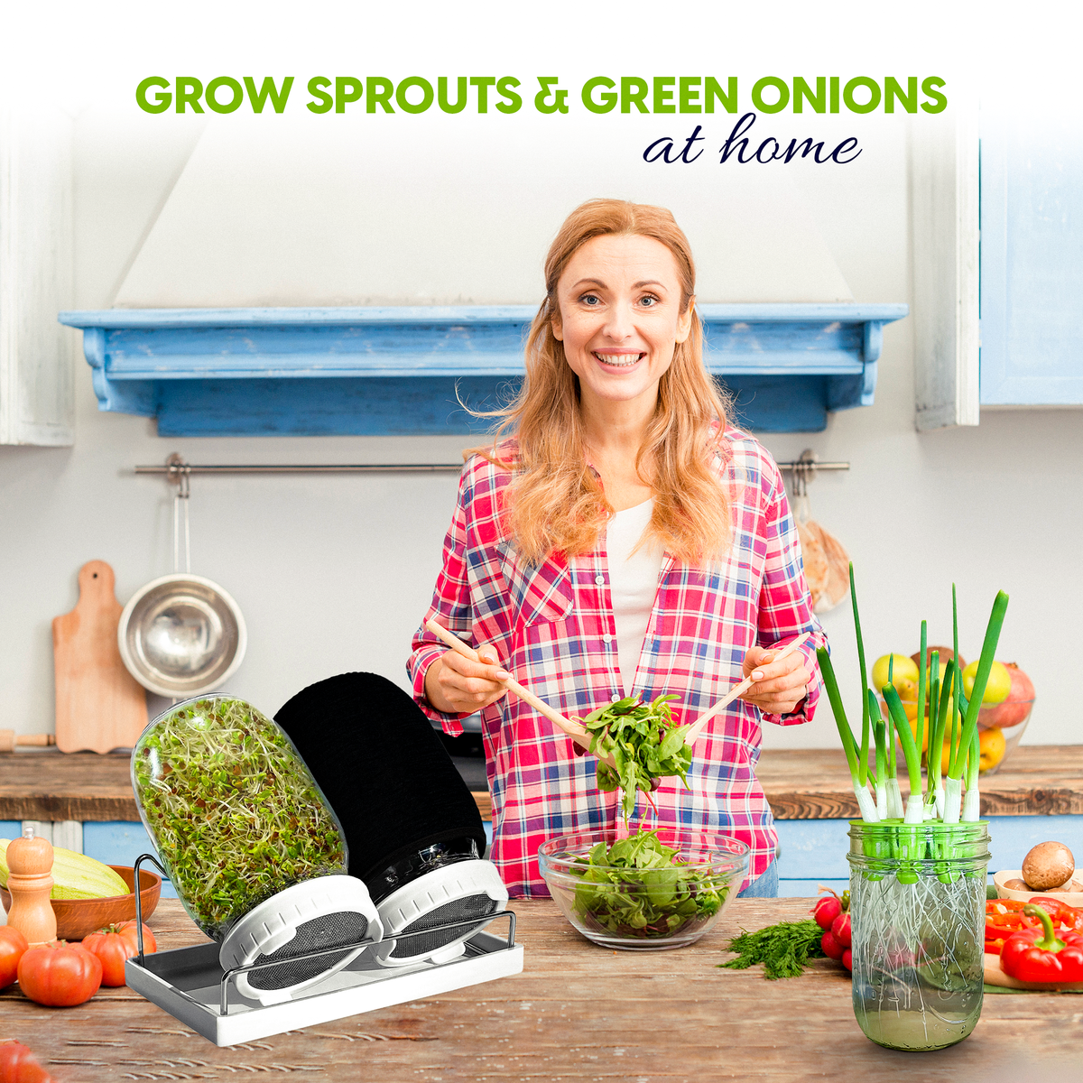 ZestiGreens Jar Sprouting Kit – 2 Glass Jars & Stand
