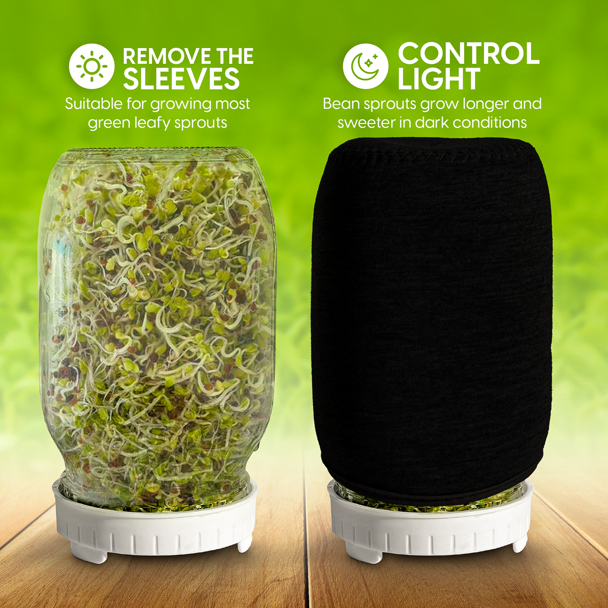 ZestiGreens Jar Sprouting Kit – 2 Glass Jars & Stand
