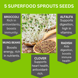 ZestiGreens Organic Sprouting Seeds 5 Variety Pack – Broccoli, Alfalfa, Mung Bean, Daikon Radish & Clover