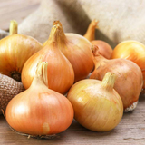 Stuttgarter Yellow Onion Sets
