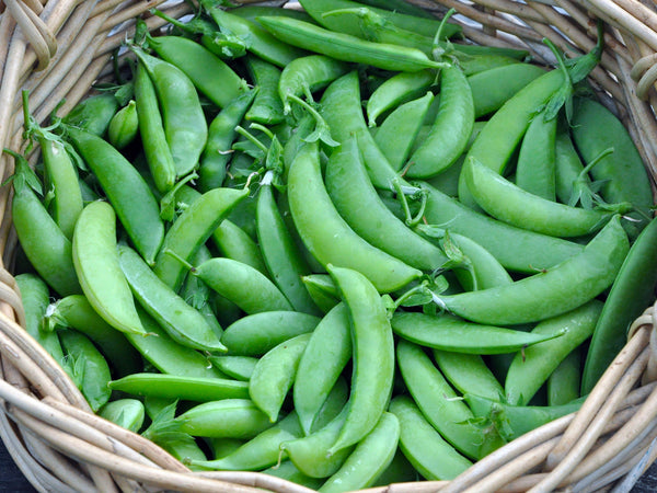 Sugar Snap Organic Peas Seeds