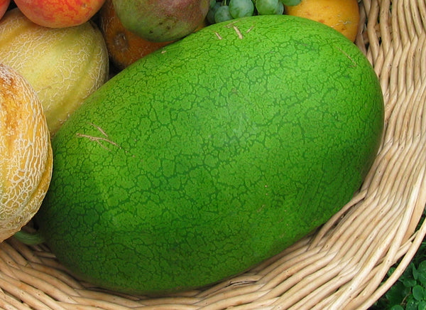 Sweet Siberian Organic Watermelon Seeds