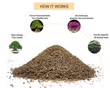 Bonsai Supply Organic Bonsai Fertilizer
