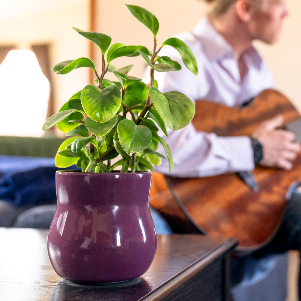 Violet Purple Ceramic Plant Pot with Removable Liner