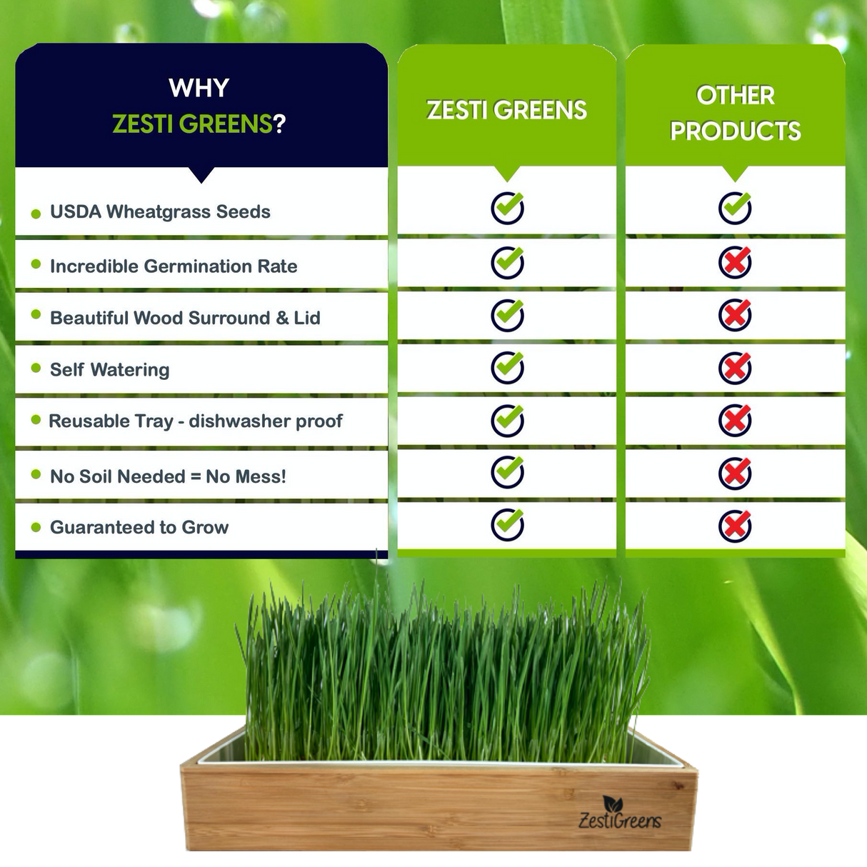 ZestiGreens Organic Self-Watering Wheatgrass Growing Kit – Soil-Free Indoor Grow System