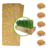 ZestiGreens Organic Wheatgrass Kit Refill Pack – 5 Hemp Mats & 5 Organic Seed Packets