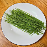 Wheatgrass Microgreens Seeds With Grow Mat