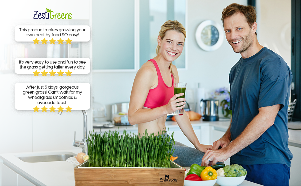 ZestiGreens Organic Self-Watering Wheatgrass Growing Kit – Soil-Free Indoor Grow System