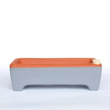 Large Microgreen Kit, Non-Toxic and Self-Watering