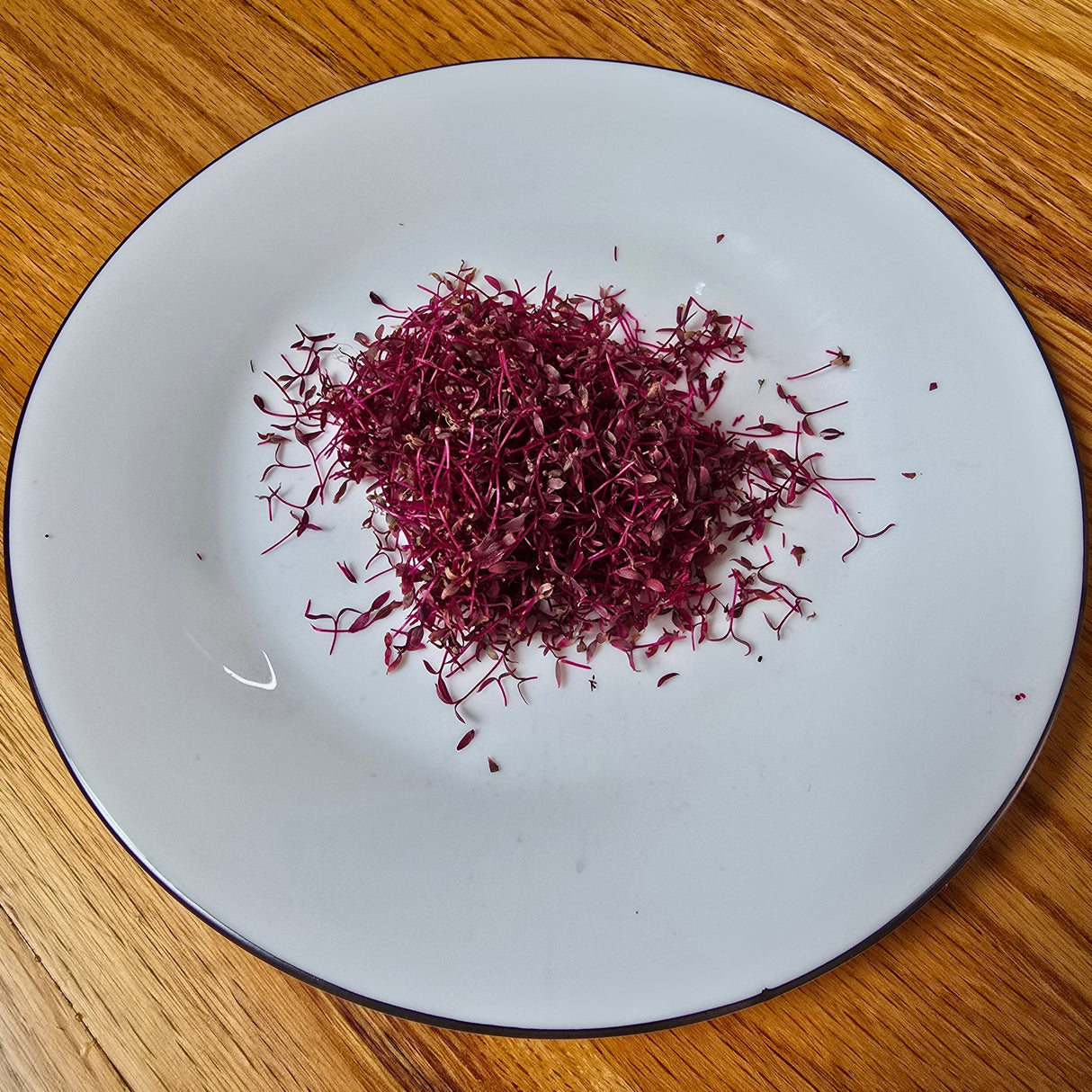Amaranth Garnet Red Microgreens Seeds with Grow Mat