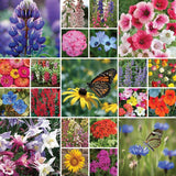 Napa Valley Wildflower Co Butterfly Garden Seed Mix – 375 mL