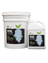 Vital Cal-Mag 1-0-0 Liquid Fertilizer – Calcium Magnesium Supplement