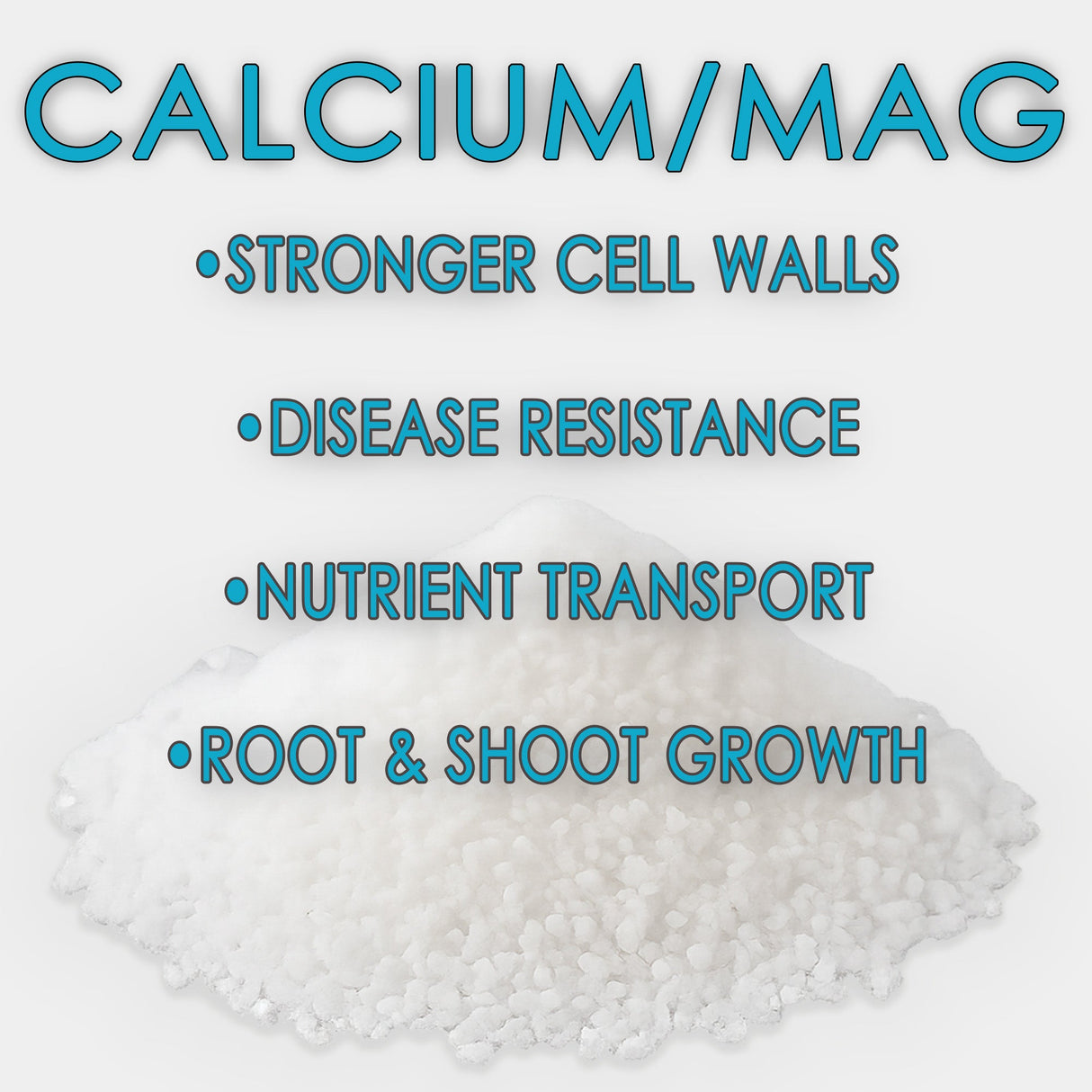 RAW Calcium/Mag – Water-Soluble Calcium & Magnesium Supplement