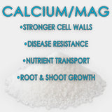 RAW Calcium/Mag – Water-Soluble Calcium & Magnesium Supplement
