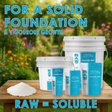 RAW Calcium/Mag – Water-Soluble Calcium & Magnesium Supplement
